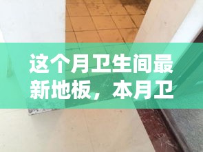 本月卫生间翻新焦点，全新地板的崛起及其影响力