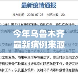 乌鲁木齐最新病例来源深度解析，源头与扩散探讨