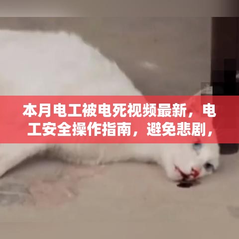 电工安全操作指南，避免悲剧，学习最新电工作业技能与本月电工事故案例分析