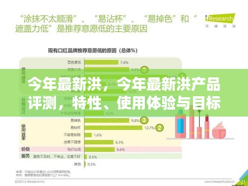 今年最新洪产品评测，特性、使用体验与目标用户深度剖析