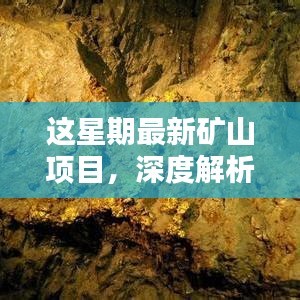 本周矿山项目深度解析与全面评测介绍