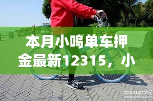 小鸣单车押金背后的暖心故事，最新更新与奇妙之旅