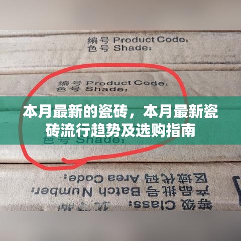 本月最新瓷砖流行趋势与选购指南，打造时尚家居的首选建材