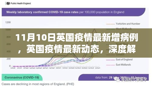 英国疫情最新动态深度解析，11月10日新增病例报告出炉