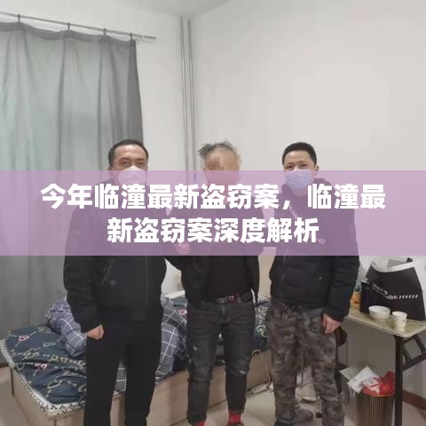 临潼最新盗窃案及其深度解析