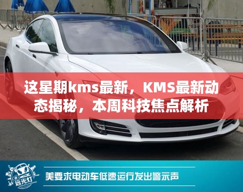 本周KMS最新动态揭秘，科技焦点解析