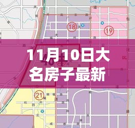 11月10日大名房子最新出售价格详解，查询步骤与房价动态掌握