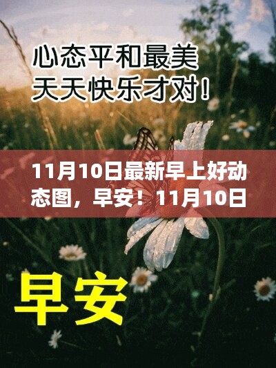 11月10日最新早上好动态图，开启心灵自然之旅的早安祝福