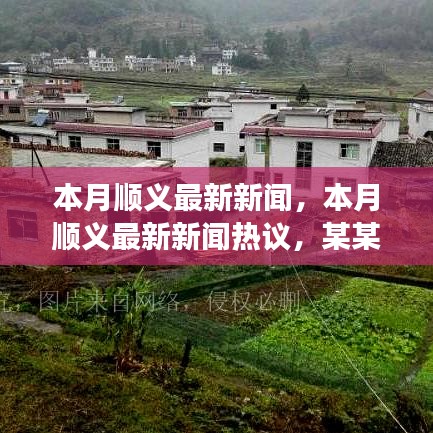 本月顺义新闻热点聚焦，热议与深度剖析某某观点