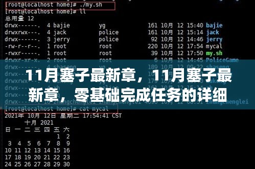 零基础完成任务的详细步骤指南，揭秘11月塞子最新章