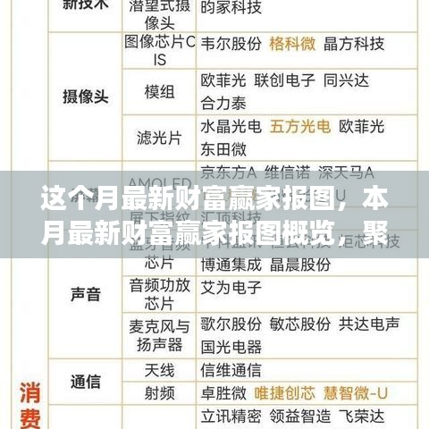 本月财富赢家报图概览，聚焦要点、趋势与洞察深度分析