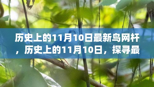 历史上的11月10日，探寻最新鸟网杆背后的故事与变迁之路