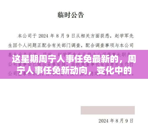 周宁人事任免最新动向，变化中的学习之旅，自信与成就感的源泉