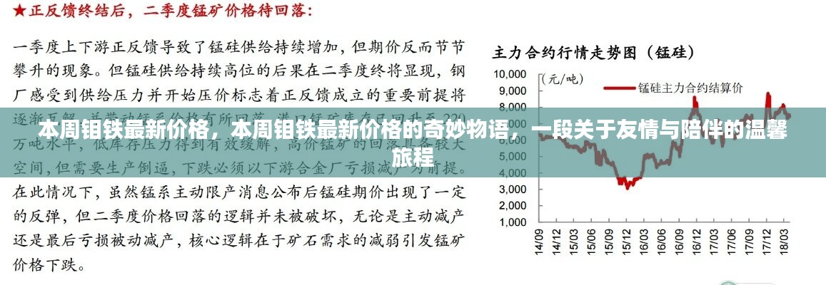 本周钼铁最新价格揭秘，友情与陪伴的温馨旅程