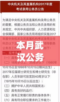 揭秘武汉公务员本月最新考试全攻略及备考策略