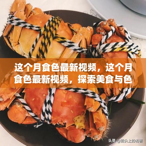 美食与色彩的浪漫邂逅，本月食色最新视频探索之旅