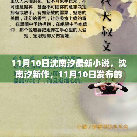 沈南汐最新小说发布，文学魅力与争议焦点解析（11月10日新作）