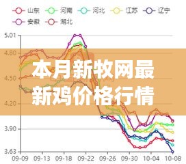 本月新牧网鸡价格行情解析，牧场新篇章与温馨故事