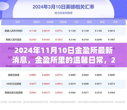 金盈所温馨日常与奇遇，2024年11月10日的消息与故事