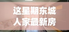 东城人家，最新房价揭秘与温馨故事回顾