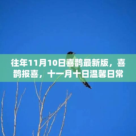 星星打烊 第6页