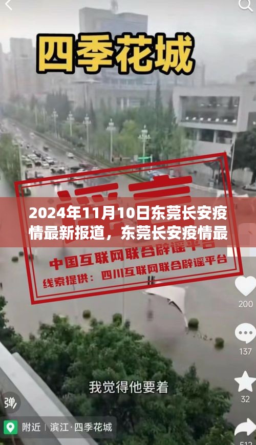 2024年11月10日东莞长安疫情最新动态，防控进展与公众应对措施