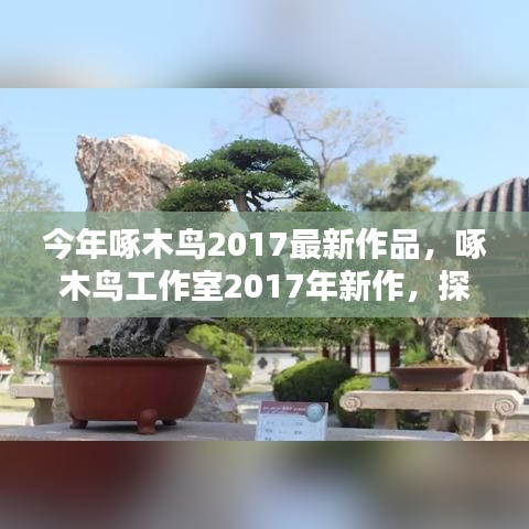 啄木鸟工作室2017新作，探索艺术无限可能