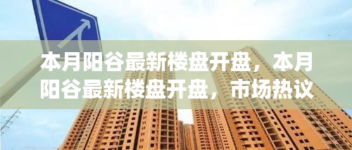 本月阳谷最新楼盘开盘，市场热议与个人观点解析