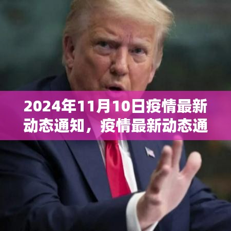 2024年11月10日疫情最新动态通知及防疫指南，安全应对疫情步骤详解