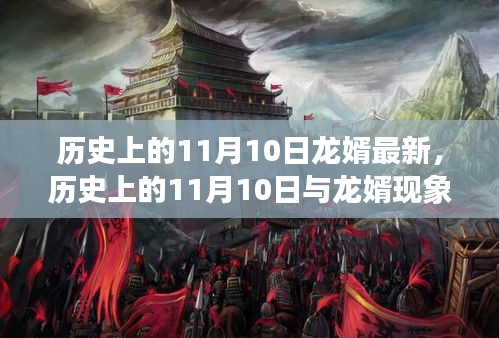 历史上的11月10日与龙婿现象，深度解读与观点阐述