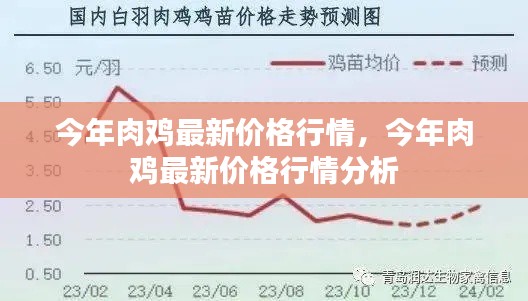 今年肉鸡最新价格行情分析与趋势预测