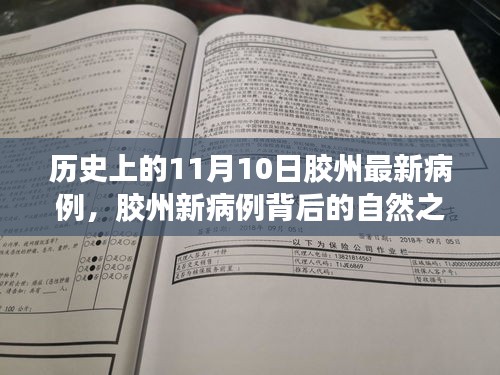 胶州新病例背后的自然之旅，探寻美景与内心平静之路