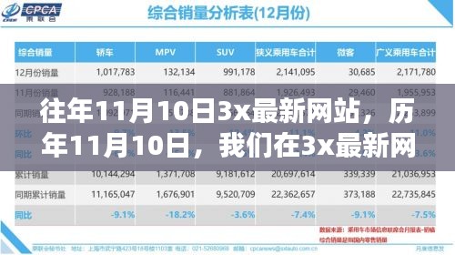 历年11月10日3x最新网站温馨日常回顾