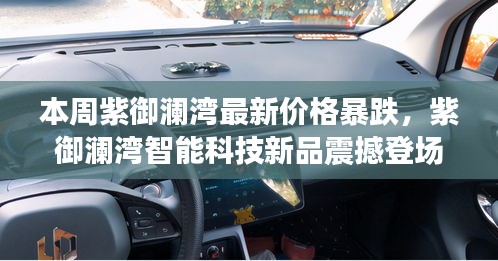 紫御澜湾最新价格暴跌，智能科技新品震撼登场，领略科技魅力与超前功能体验！