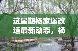 杨家堡改造最新动态揭秘，本周进展及历史影响回顾