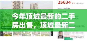 项城最新二手房出售及热销榜单，抢购黄金地段优质房源！