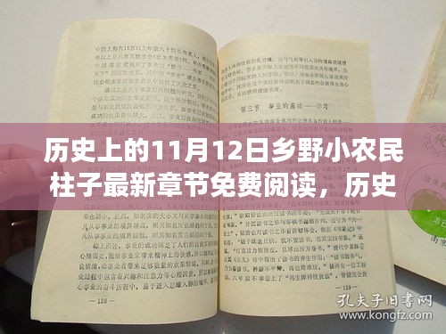 历史上的11月12日，乡野小农民柱子最新章节深度测评与免费阅读介绍