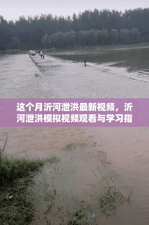 沂河泄洪模拟视频最新动态，观看指南与学习掌握最新动态