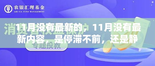 11月静默无声，内容停滞还是静待花开？