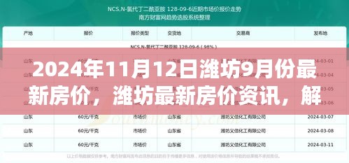 揭秘2024年11月潍坊最新房价动态，掌握最新资讯解锁新高度