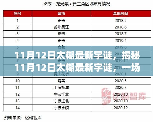 揭秘太糊最新字谜，文字游戏的魅力与挑战，11月12日独家解析！