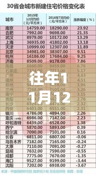 海南新规深度解析，特性、体验、对比与用户群体分析