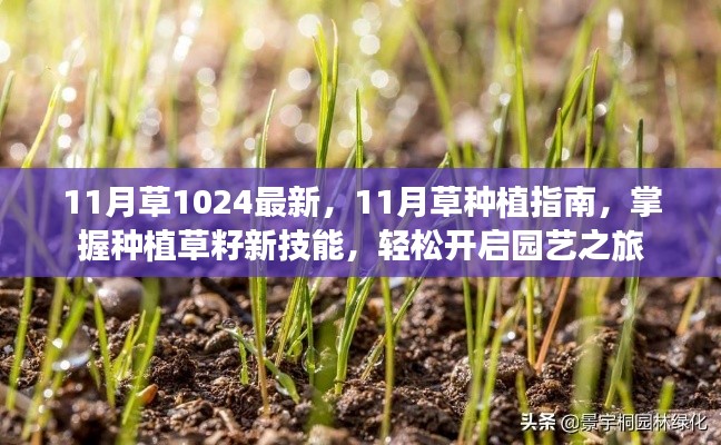 11月草种植指南，掌握新技能，轻松开启园艺之旅