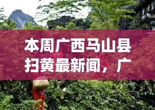 广西马山县扫黄最新动态，深度评测与介绍本周更新