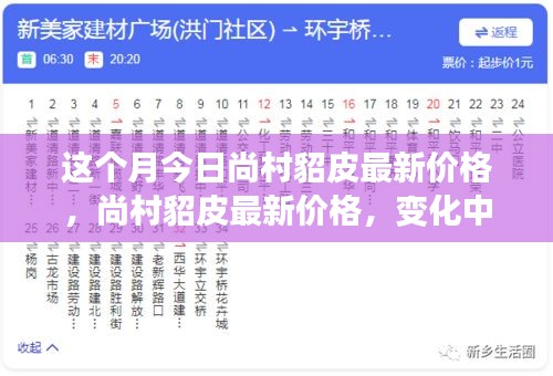 尚村貂皮最新价格动态，学习成长与自信成就感的源泉