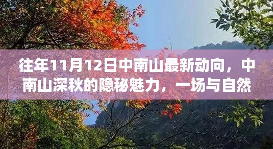 中南山深秋的隐秘魅力，与自然美景的邂逅之旅（最新动向在11月12日）