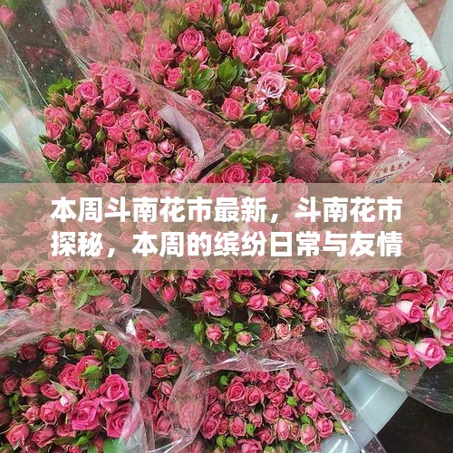 本周斗南花市探秘，缤纷日常与友情之花盛开