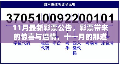 11月彩票公告揭秘，惊喜与温情共筑彩虹桥之梦