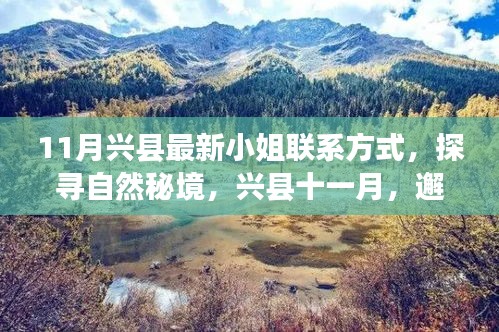 兴县十一月，探寻自然秘境，邂逅心灵静谧之旅——小姐联系方式揭秘