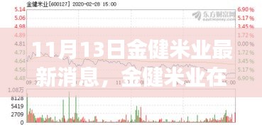 金健米业最新动态，风云变幻中的新篇章解读